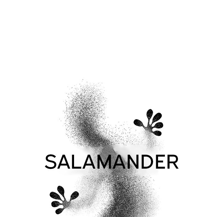 Salamander