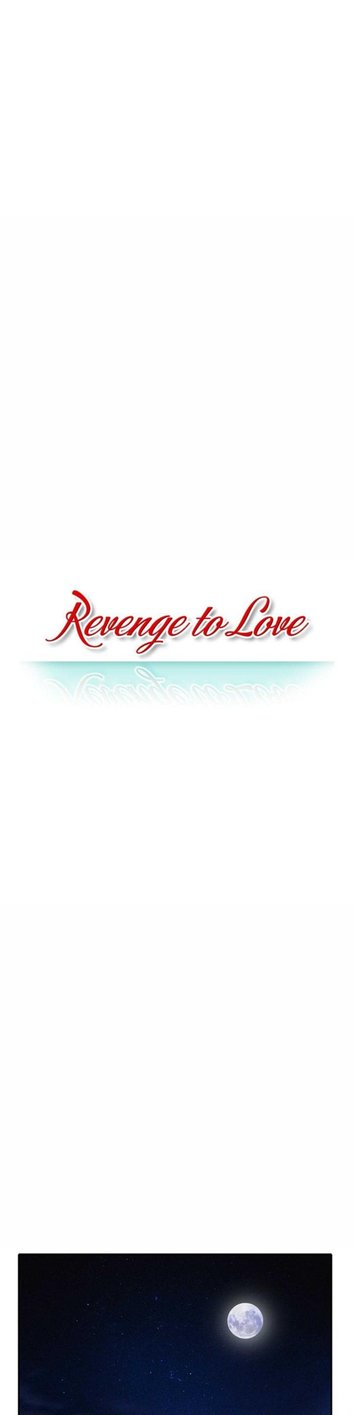 Revenge to Love