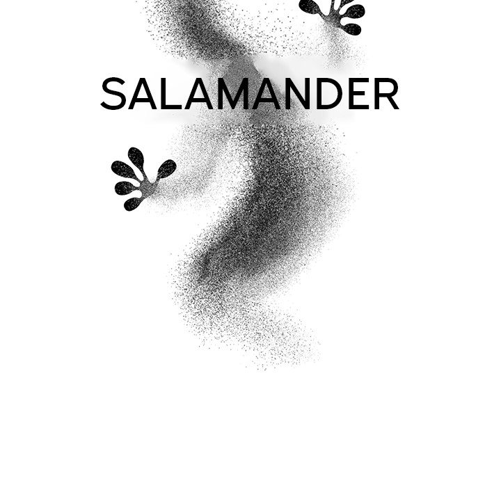 Salamander