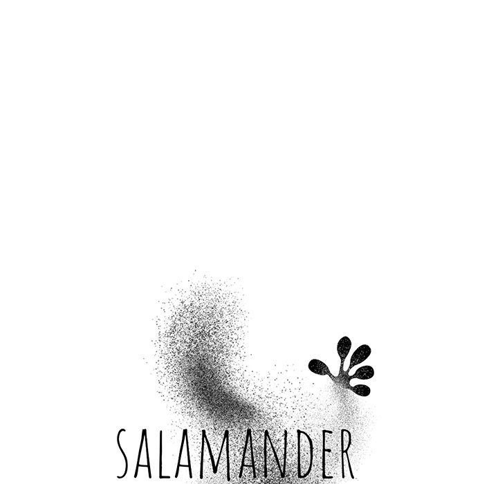 Salamander