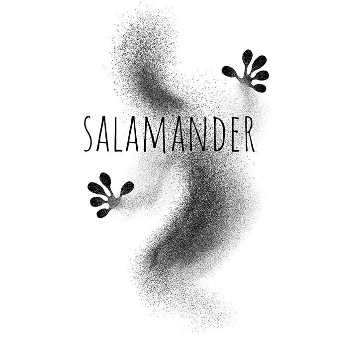 Salamander