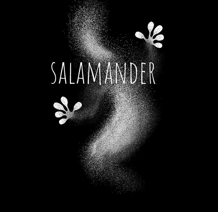 Salamander