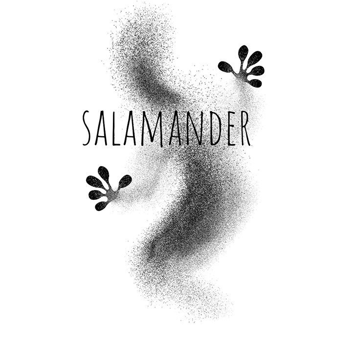 Salamander