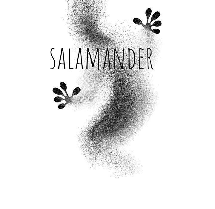 Salamander