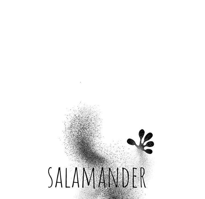 Salamander