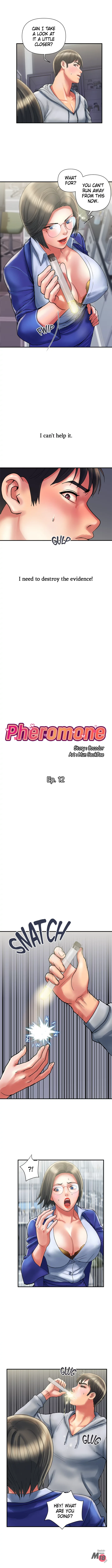 Pheromones Engsub