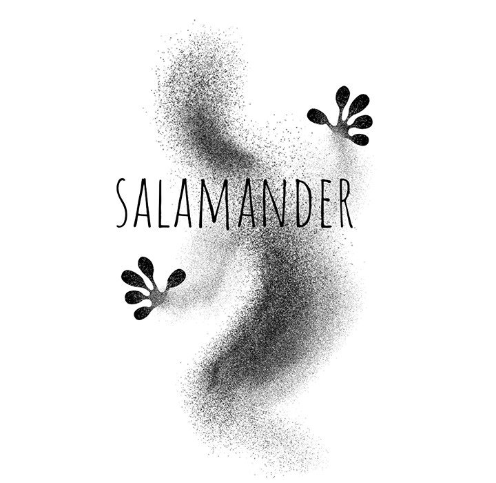 Salamander