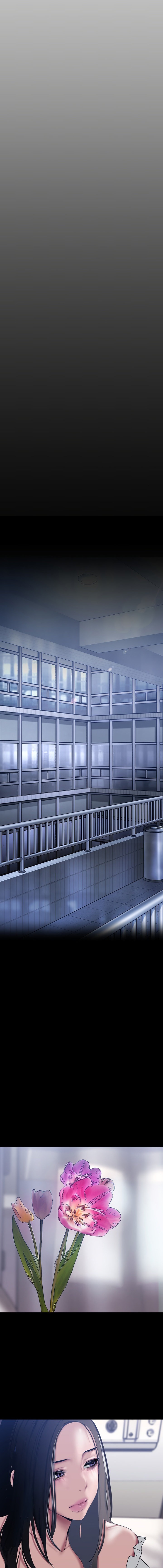 A wonderful new world