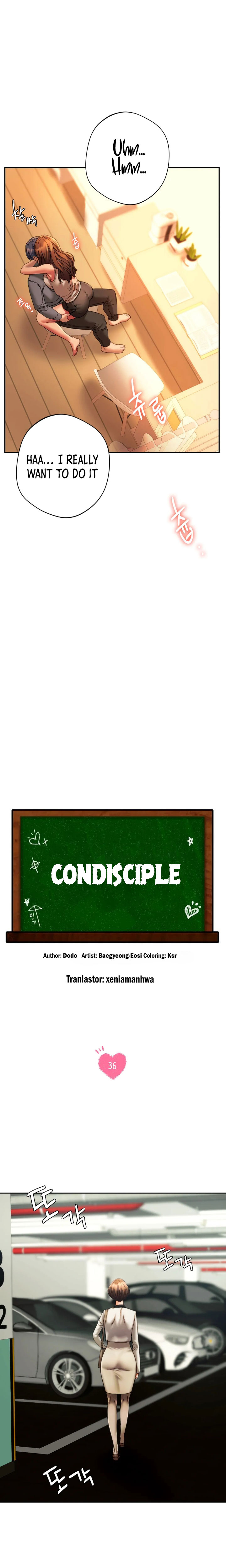 Condisciple