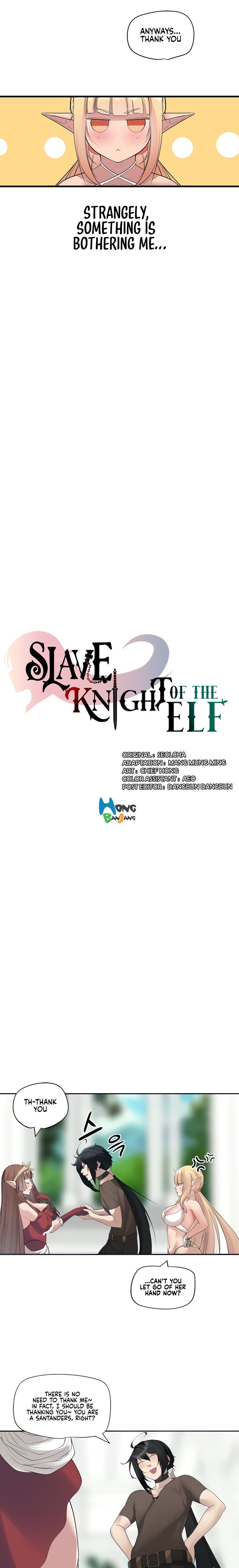 Slave Knight of the Elf