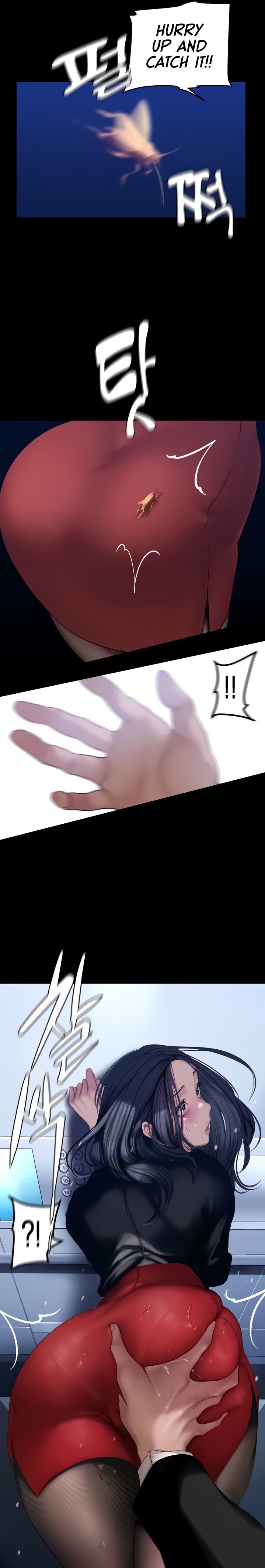 A wonderful new world