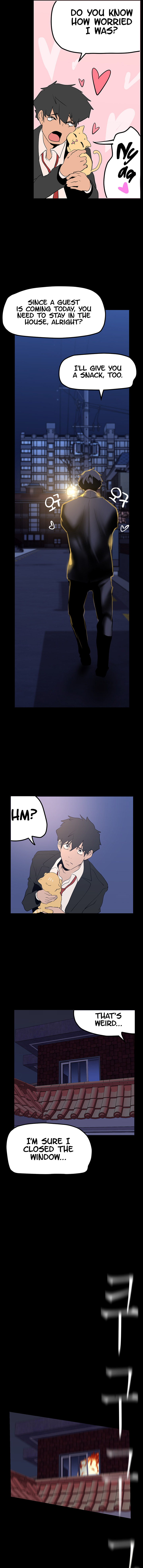 A wonderful new world