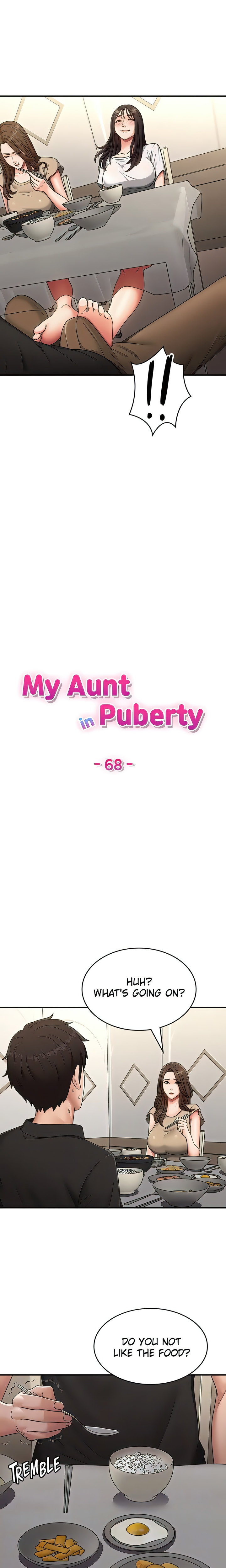 My Aunt in Puberty