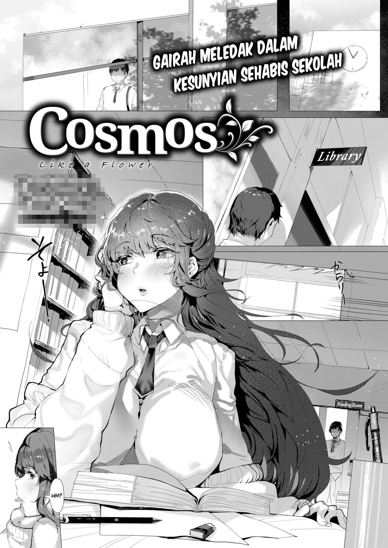 Cosmos Chapter 1