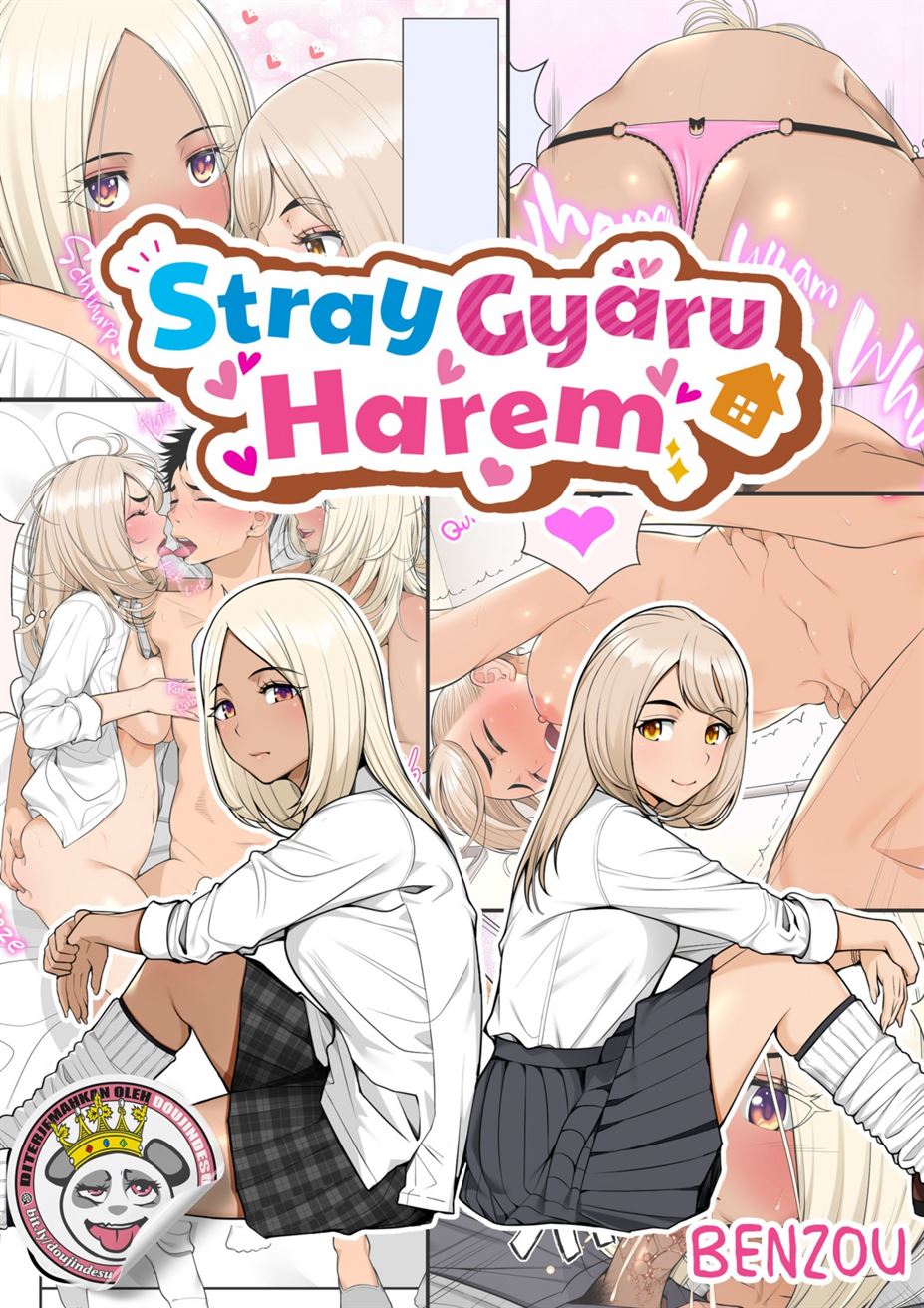 Iede Gal o Hirottara Harem ni Natta Hanashi Chapter 1