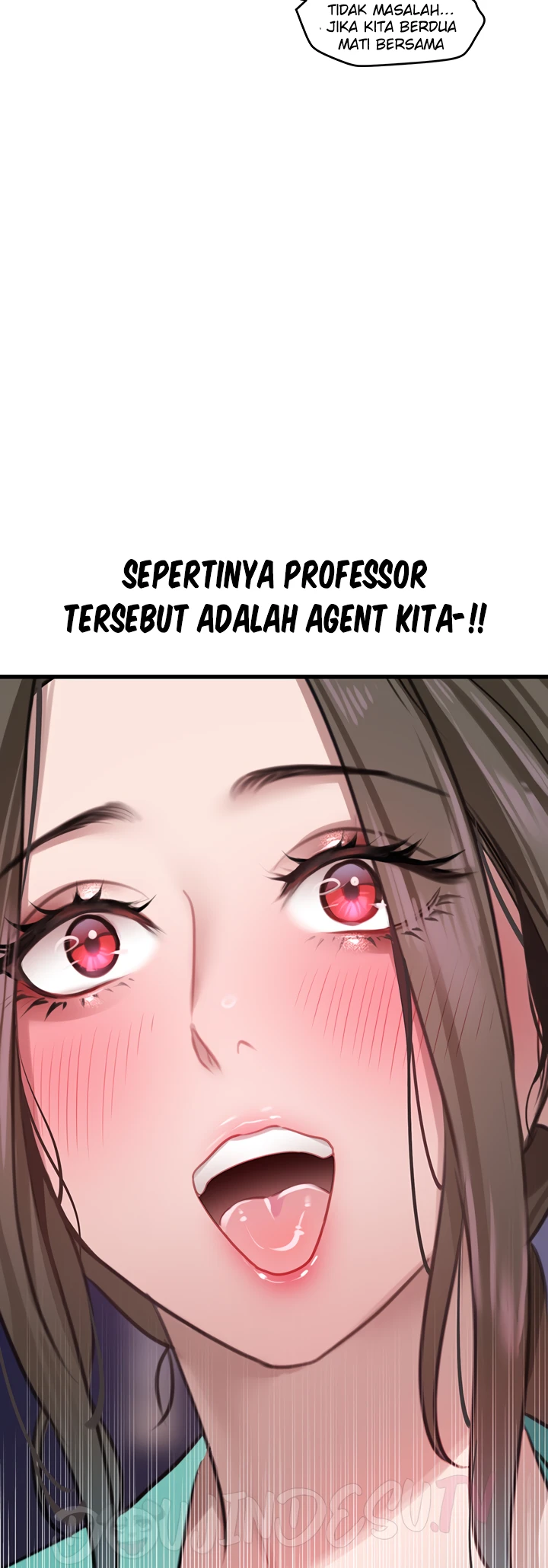 SSS-Class Camouflage Agent Chapter 14