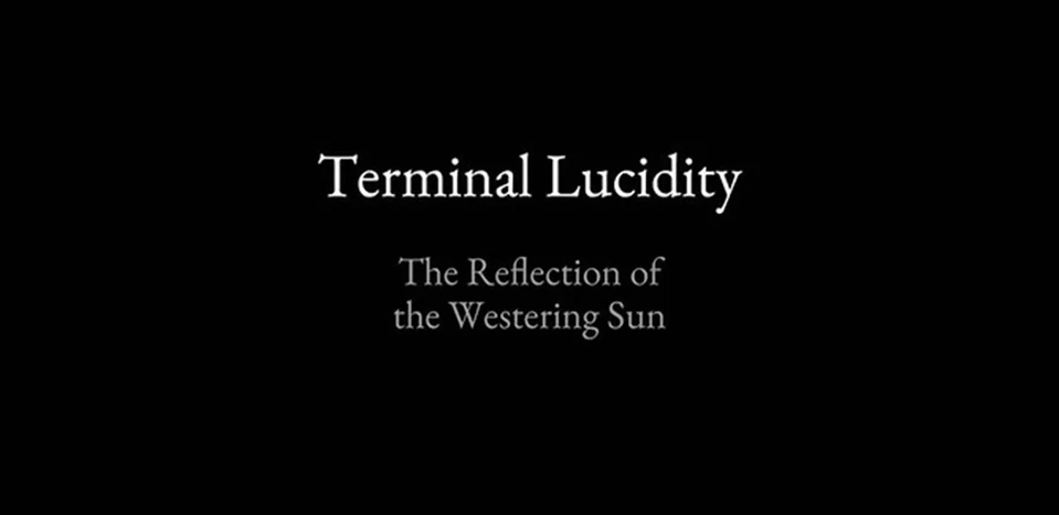 Terminal Lucidity Chapter 1