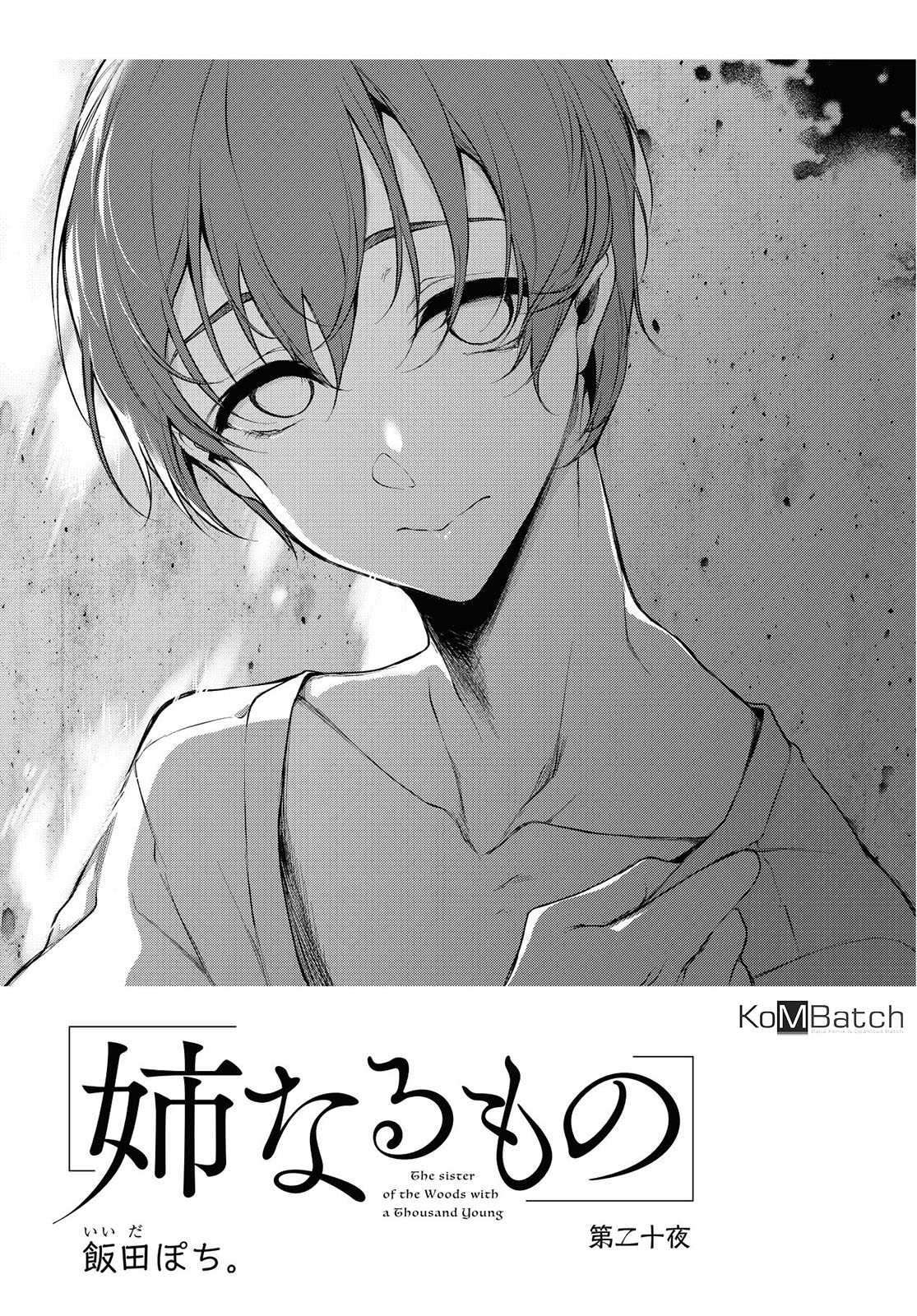 Ane Naru Mono Chapter 20