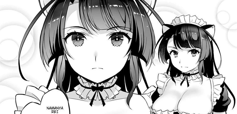 C9-48 Boku no Maidroid ga NTRreta Chapter 1