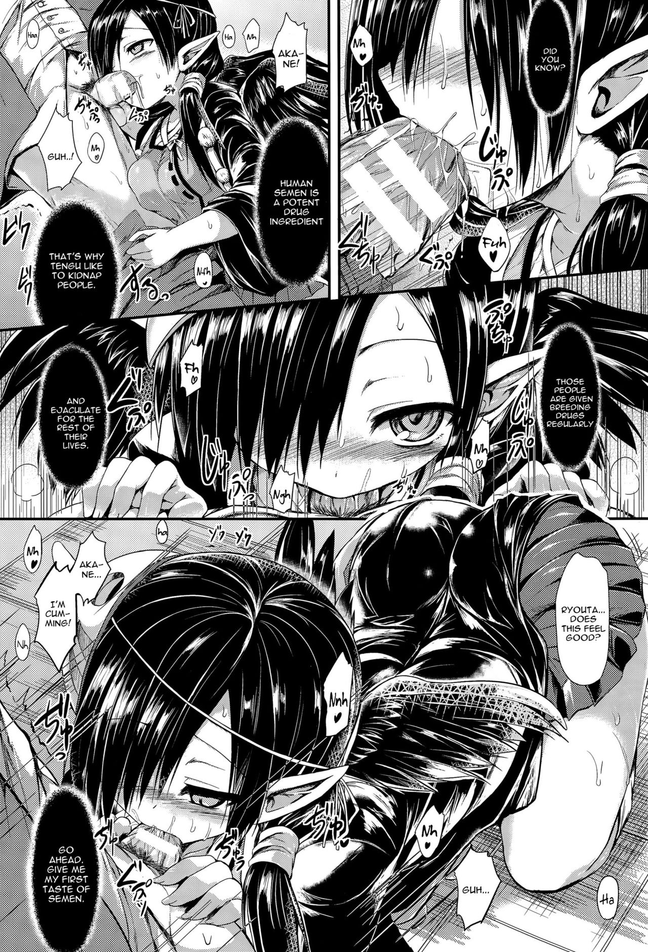 Osananajimi no Gin no Hane