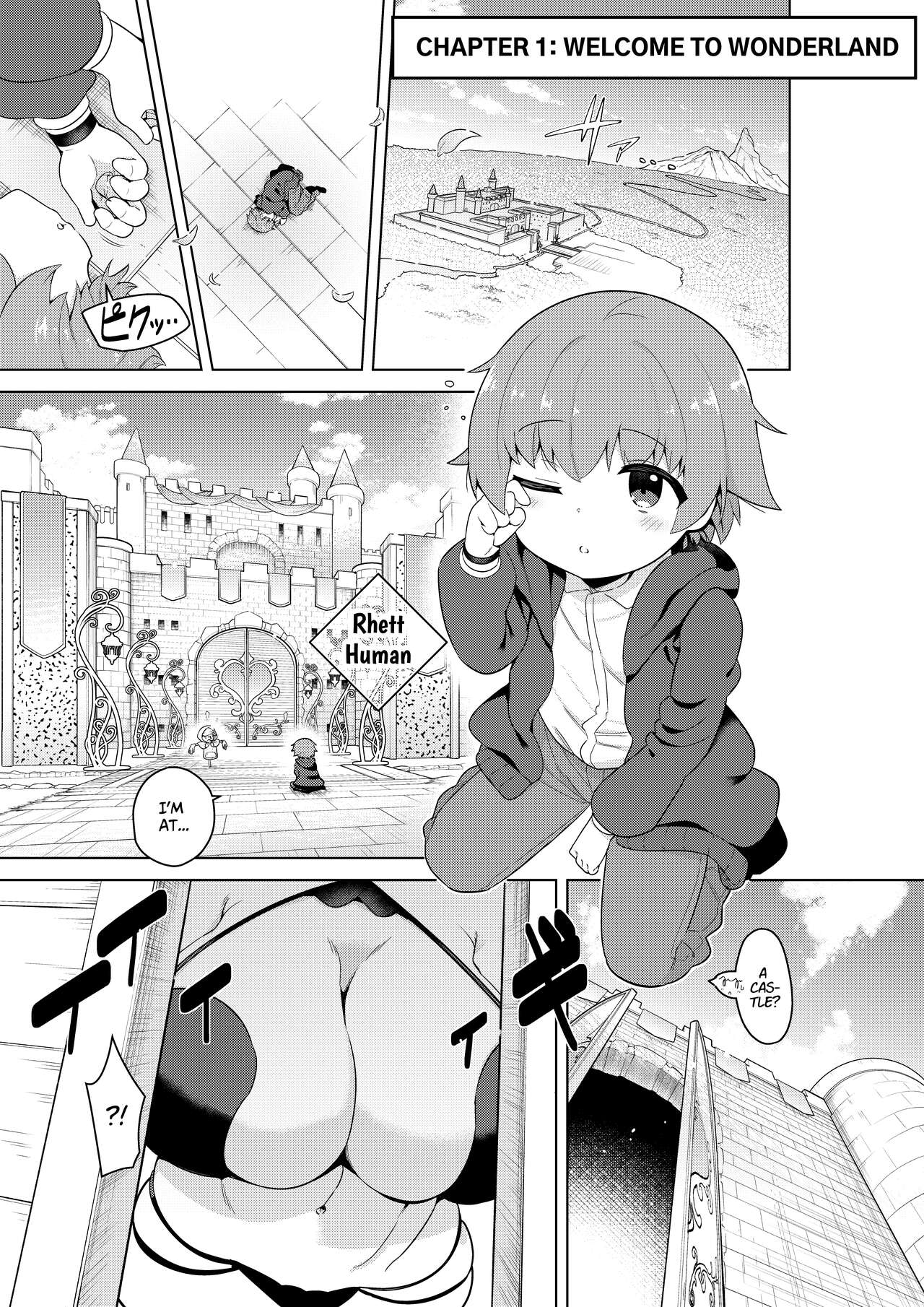 Succubus in Wonderland: Comicalize! Volume 1