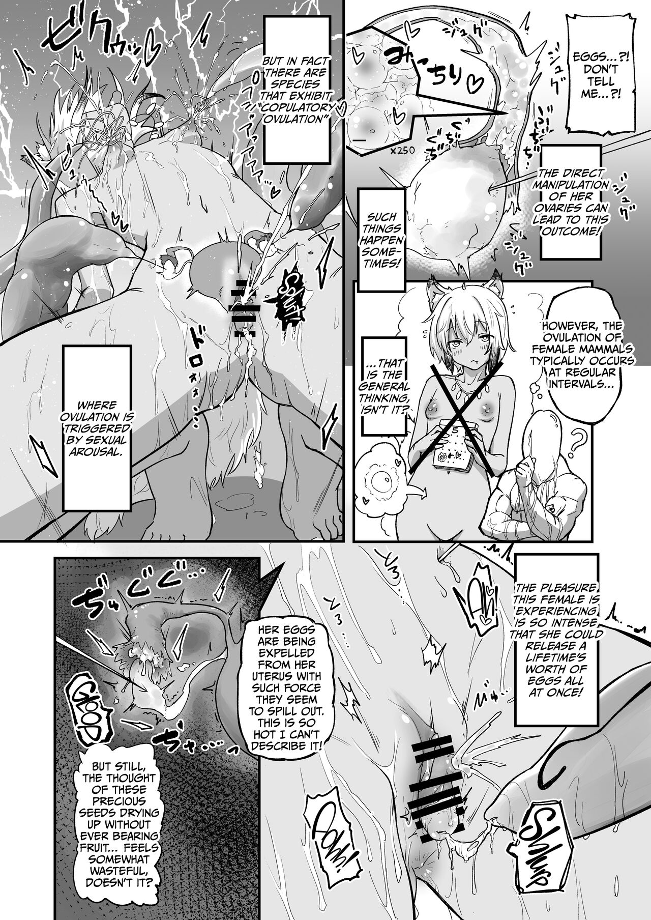 The Circle of Chippai Life!