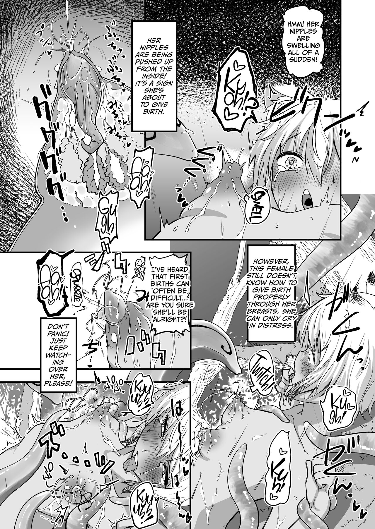 The Circle of Chippai Life!