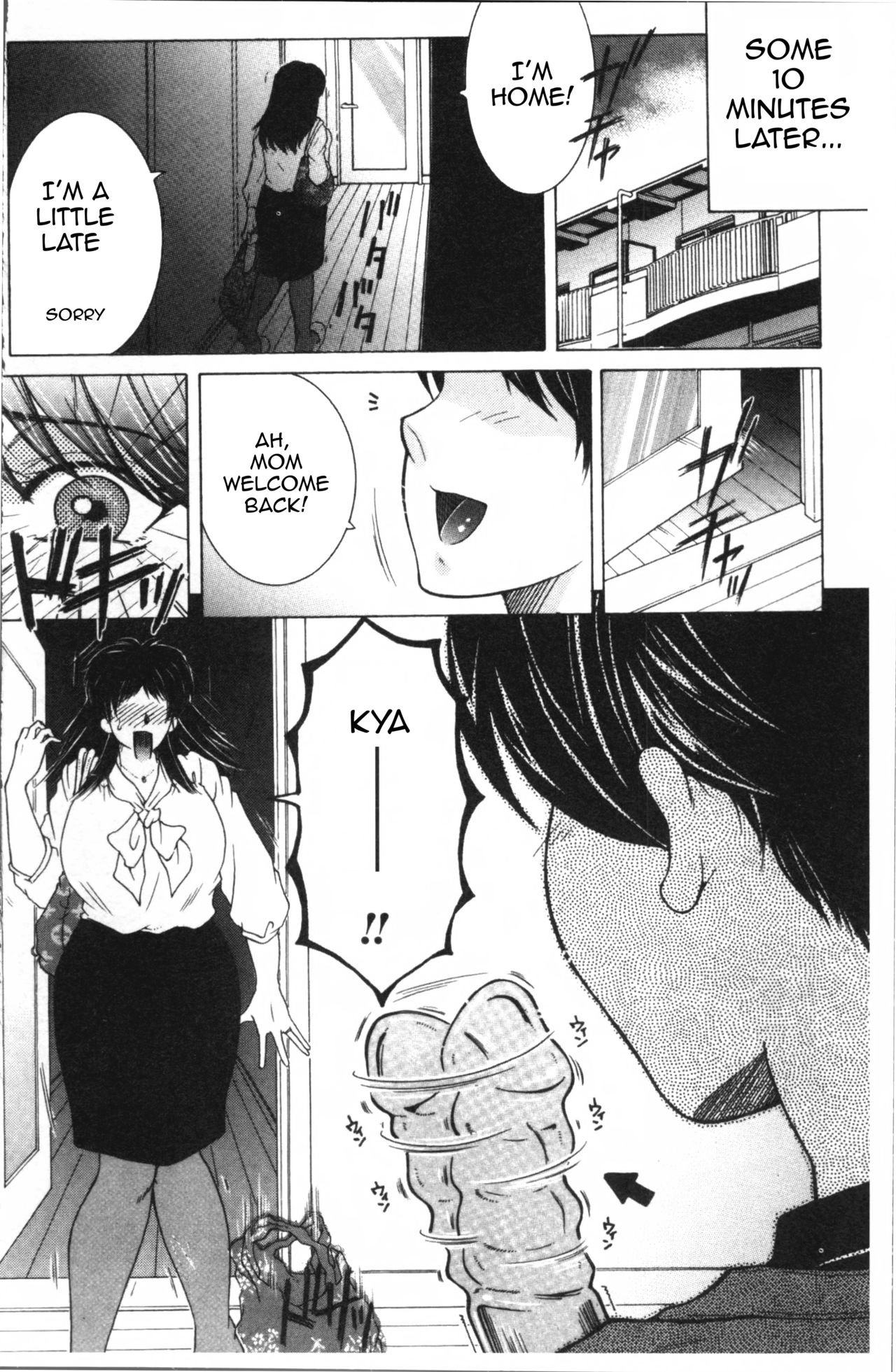 Fuck Toys ~Mother and Auntie and Me~