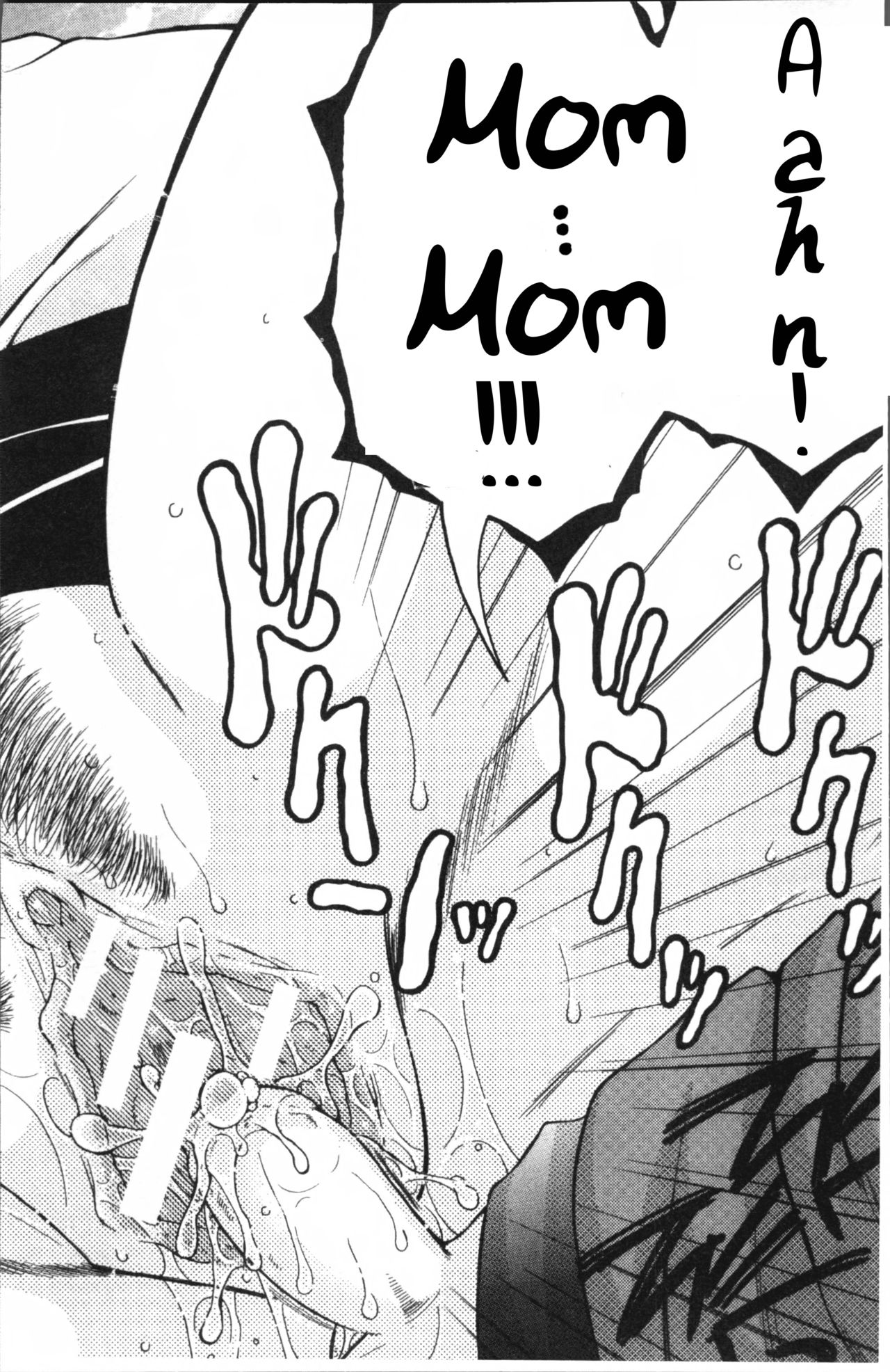 Fuck Toys ~Mother and Auntie and Me~