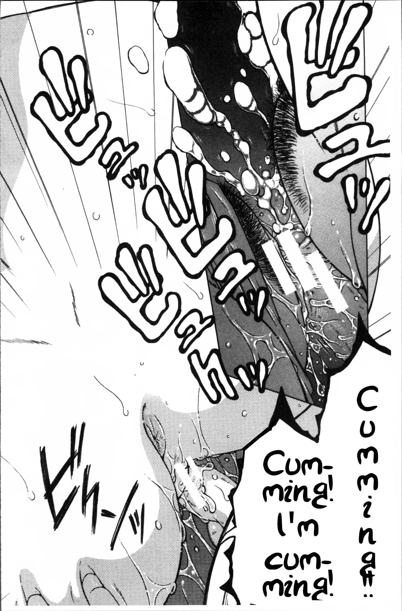 Fuck Toys ~Mother and Auntie and Me~