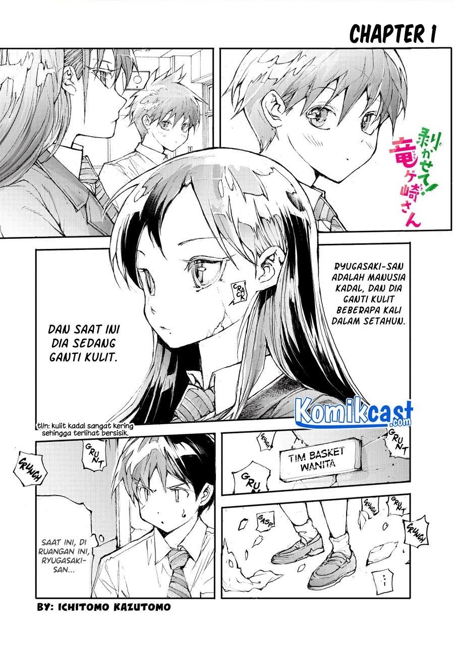 Mukasete! Ryugasaki-san Chapter 1