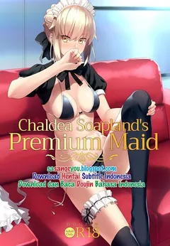 Chaldea Soap SSS-kyuu Gohoushi Maid