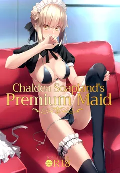 Chaldea Soap SSS-kyuu Gohoushi Maid - Colorized