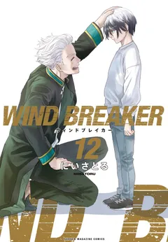 Wind Breaker (NII Satoru)