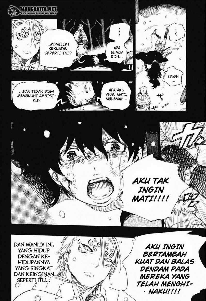 Ao no Exorcist