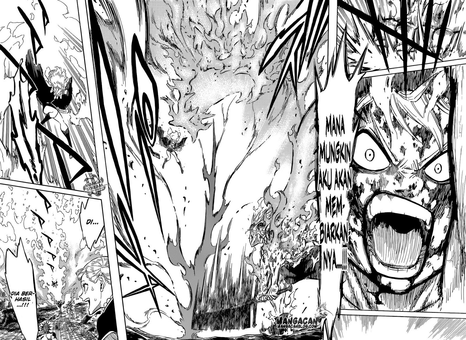 Black Clover