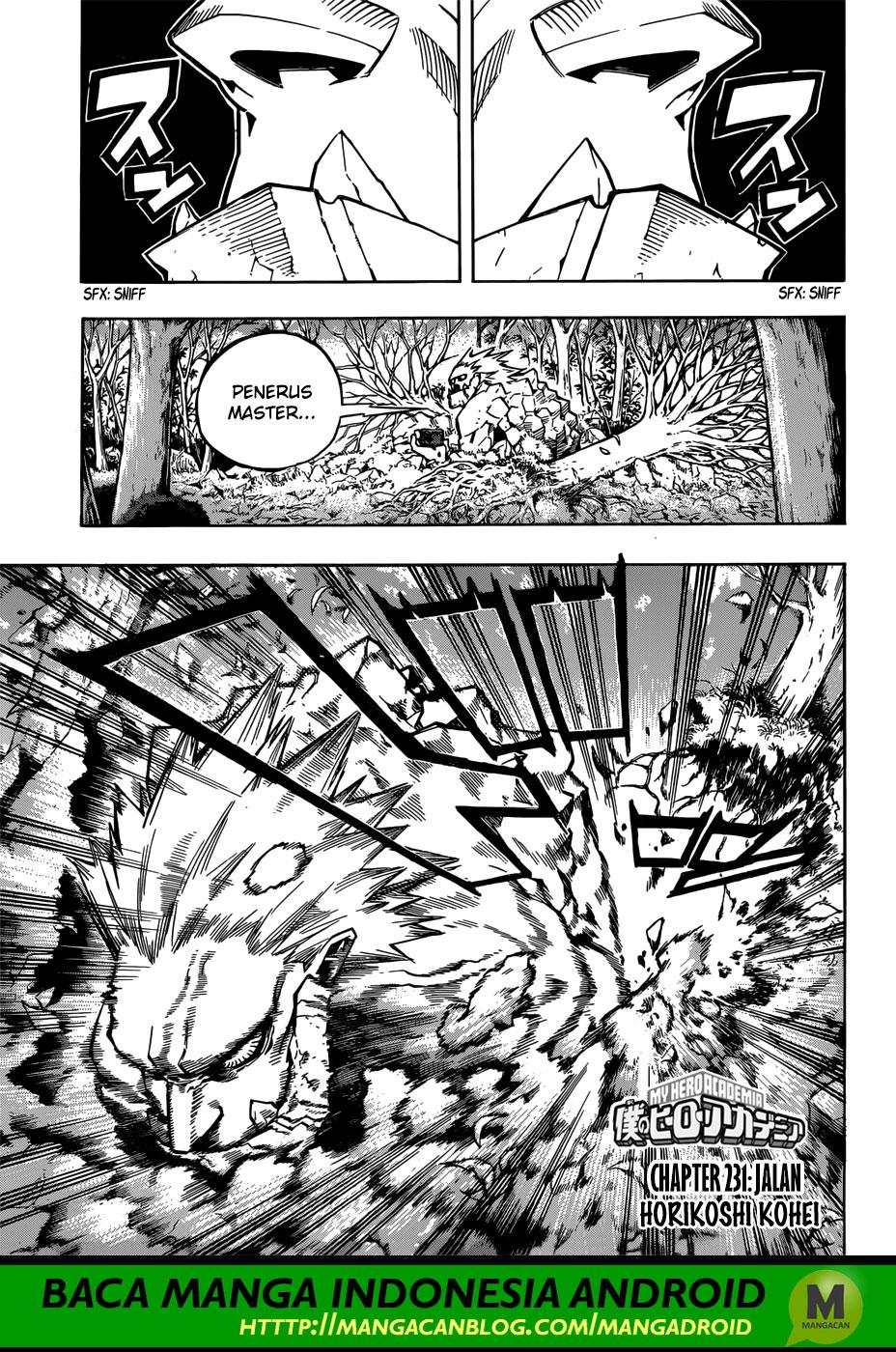 Boku no Hero Academia