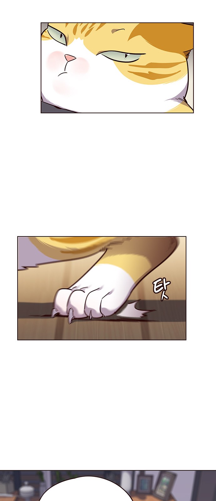 Eleceed