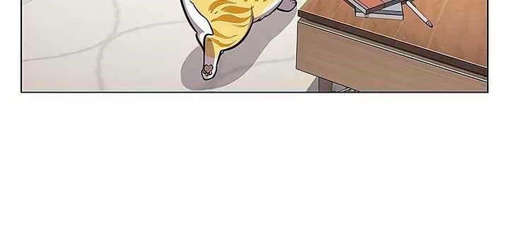 Eleceed