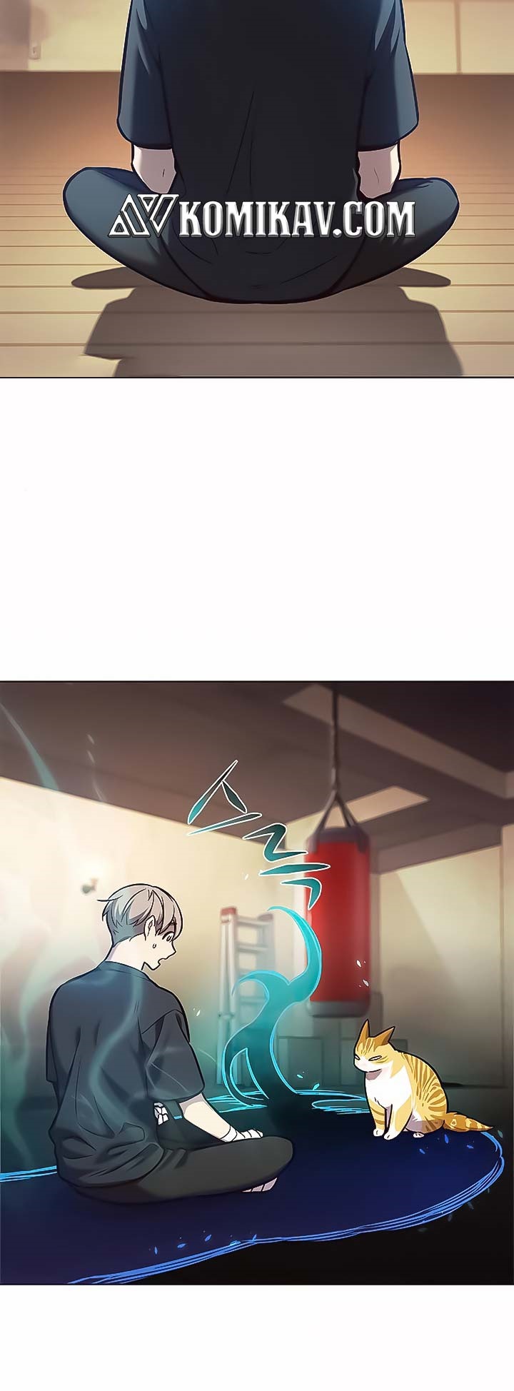 Eleceed