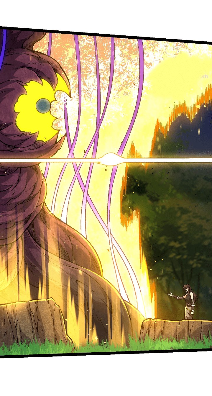 Evolution Begins With A Big Tree