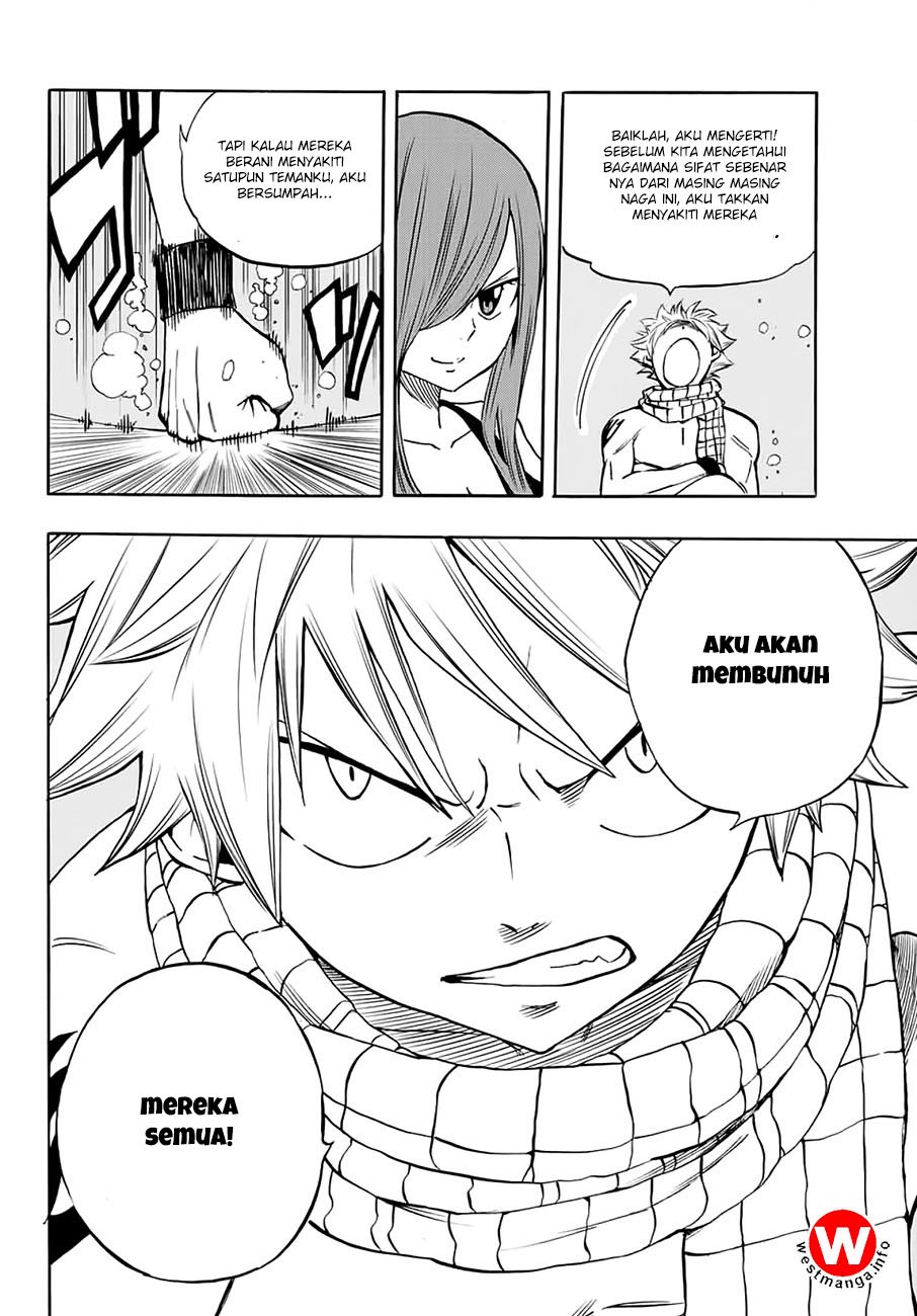 Fairy Tail: 100 Years Quest