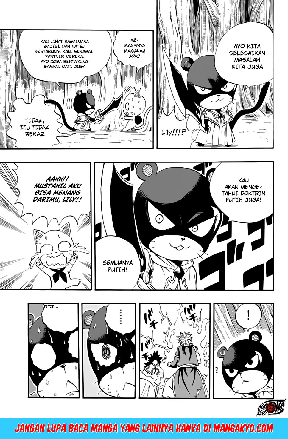 Fairy Tail: 100 Years Quest