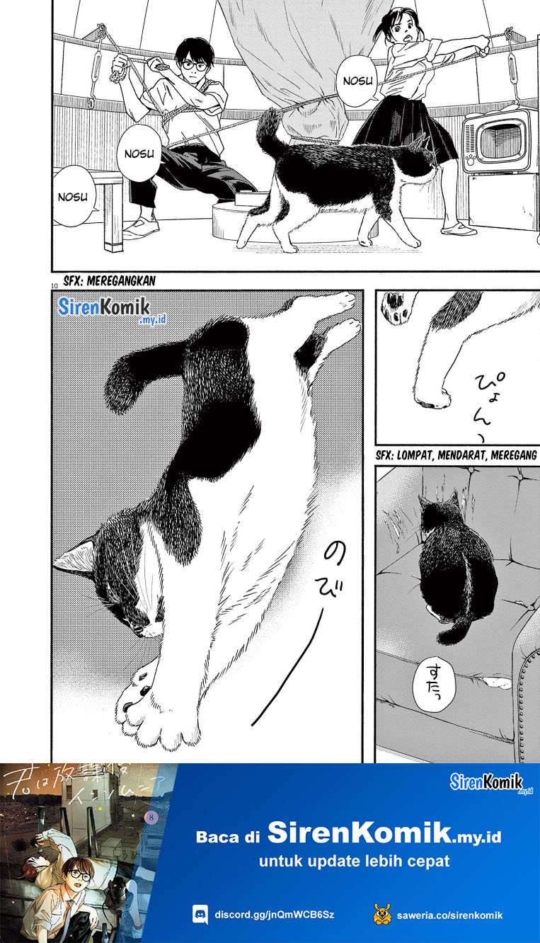 Insomniacs After School (Kimi wa Houkago Insomnia)