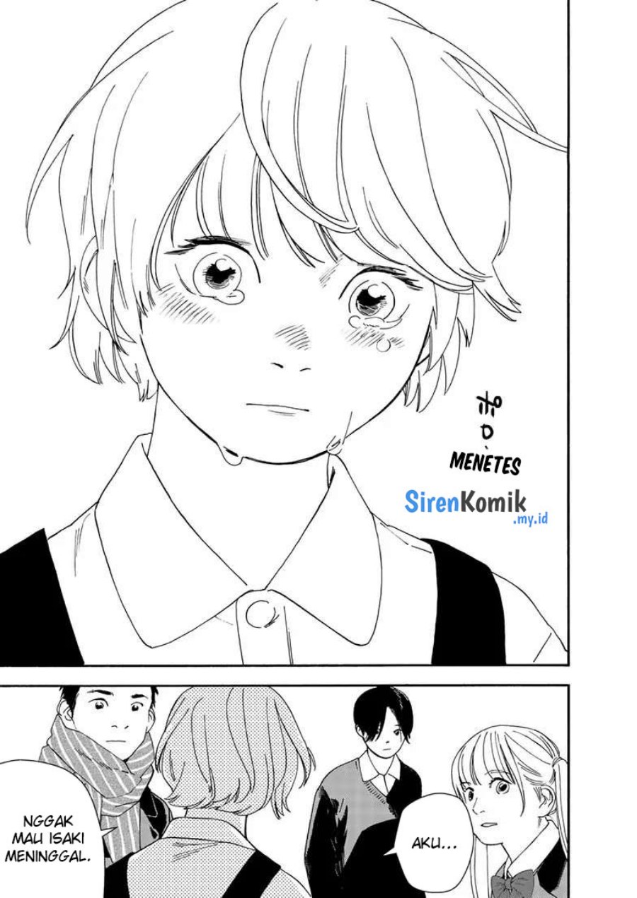 Insomniacs After School (Kimi wa Houkago Insomnia)