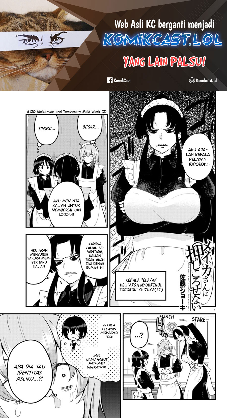 Meika-san Can’t Conceal Her Emotions (Serialization)