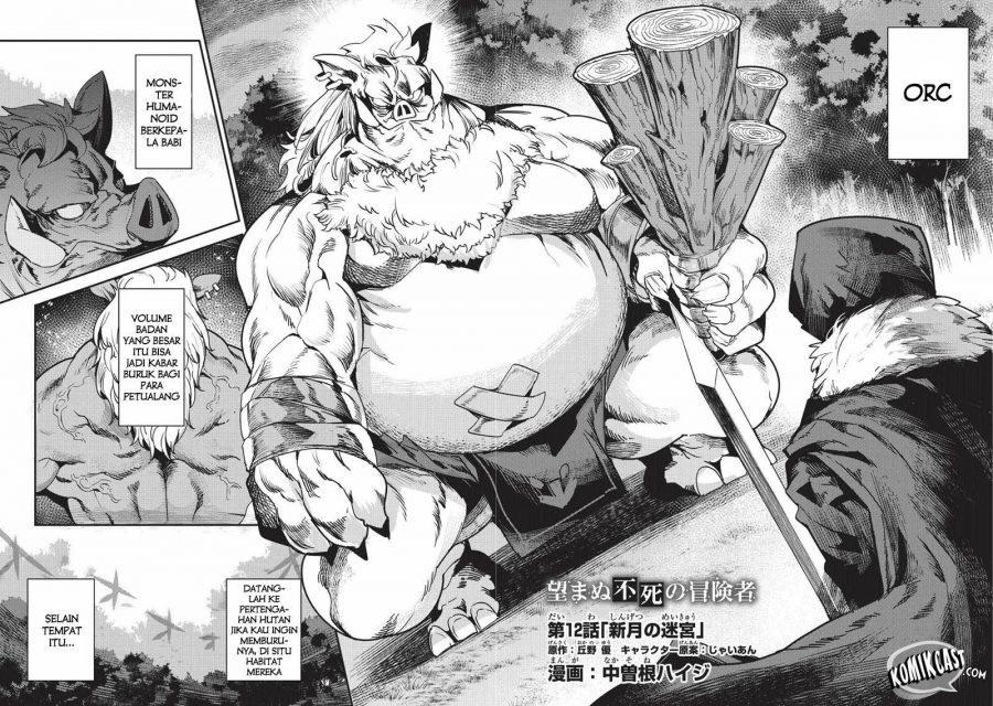Nozomanu Fushi no Boukensha