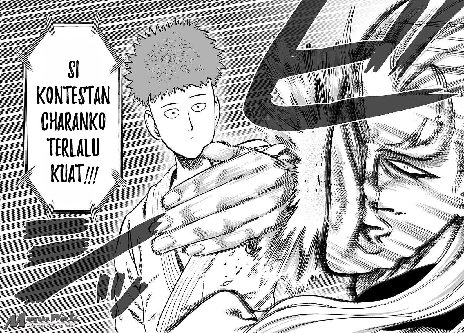 One Punch Man