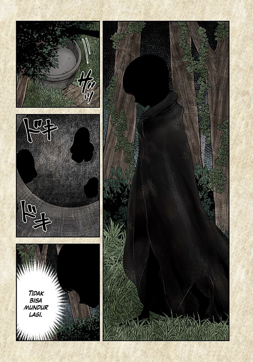 Shadows House