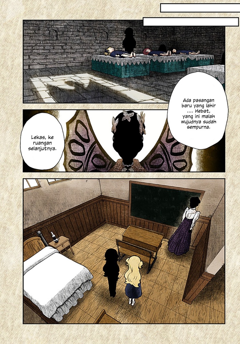 Shadows House